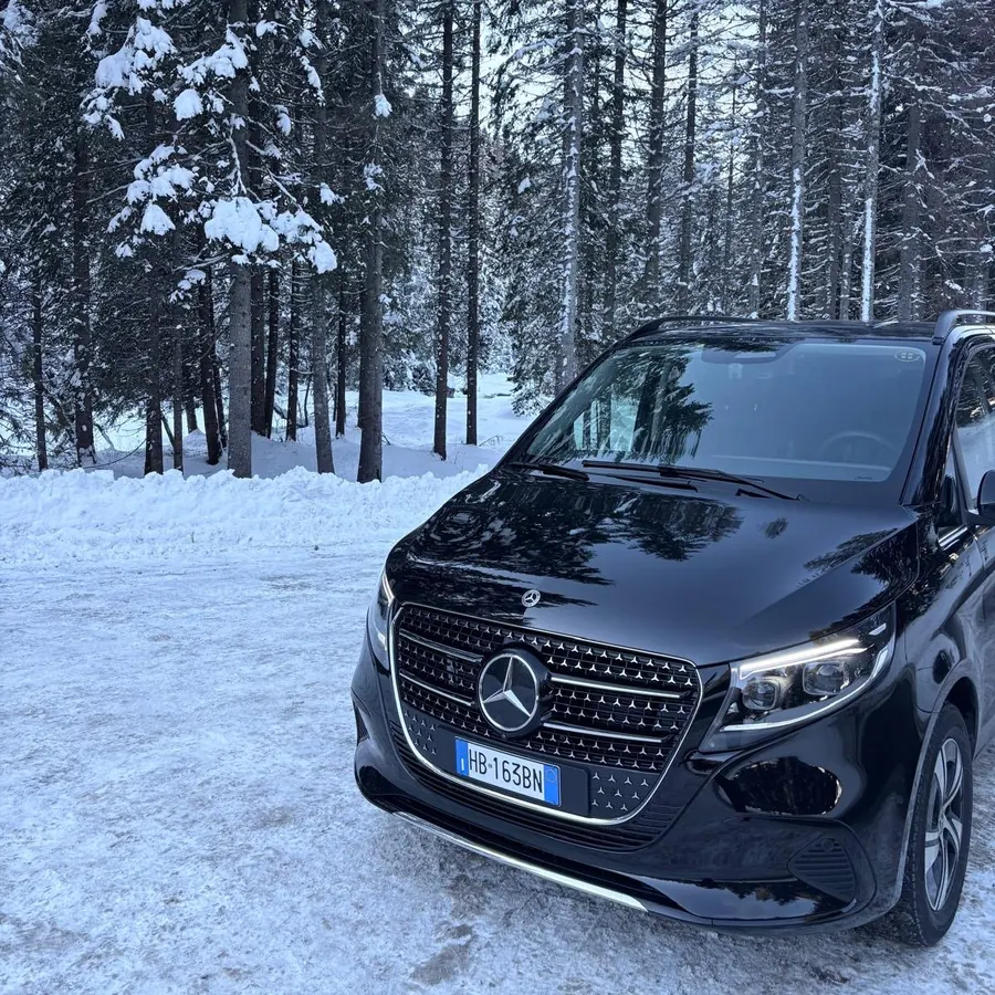Dettaglio della calandra Mercedes-Benz nella foresta innevata