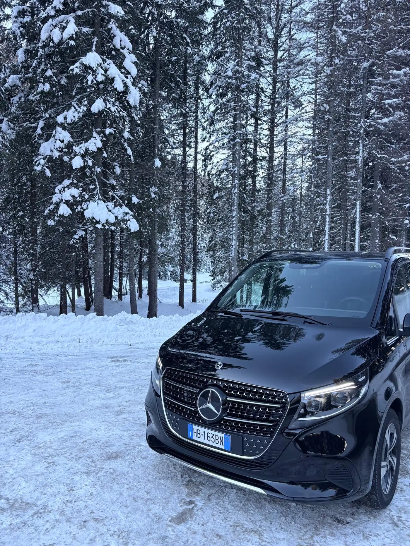 Dettaglio della calandra Mercedes-Benz nella foresta innevata